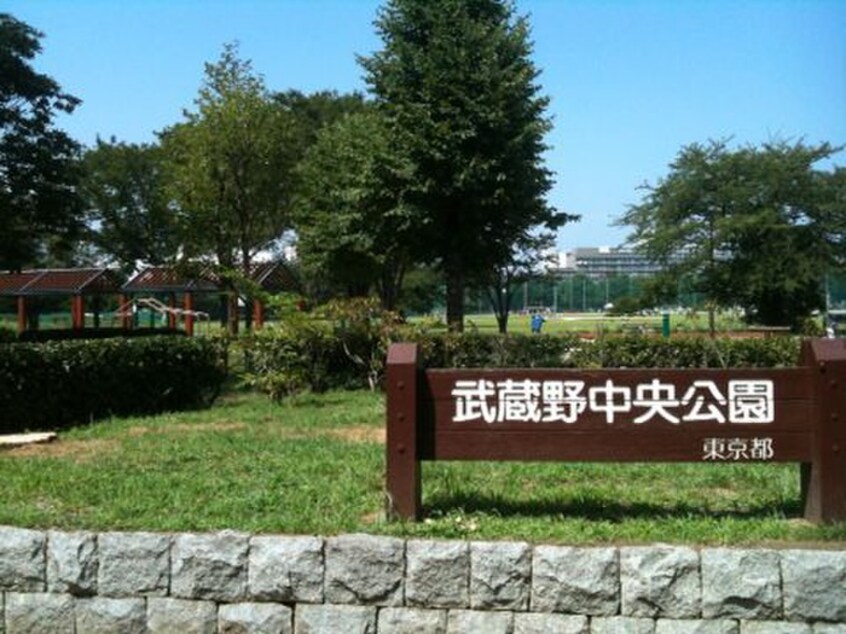 武蔵野中央公園(公園)まで527m コンフォール武蔵野