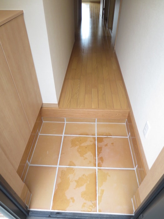 玄関 第5ﾀﾞｲｿーﾊｳｽ