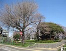 柏葉公園(公園)まで400m ポルトボヌール