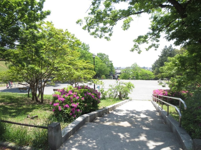 新石川公園(公園)まで950m 斉藤ハイツＢ棟