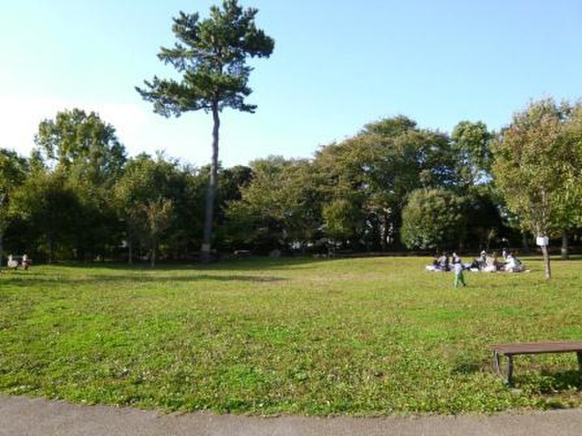 三宿の森緑地(公園)まで66m エレガンス三宿