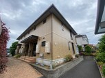 ステラ
