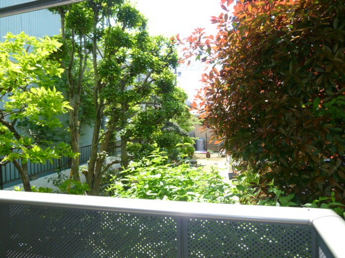 ベランダ・バルコニー コ－ト芝Ｍｉｋｉ