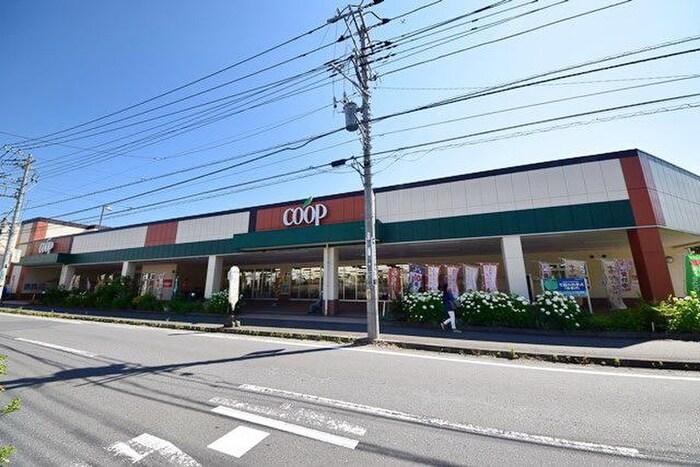 ユーコープ白根店(スーパー)まで102m メゾンレ－ヴ鶴ヶ峰