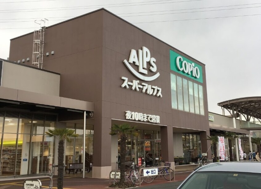 スーパーアルプス相模原インター店(スーパー)まで1500m シャト－アリエス