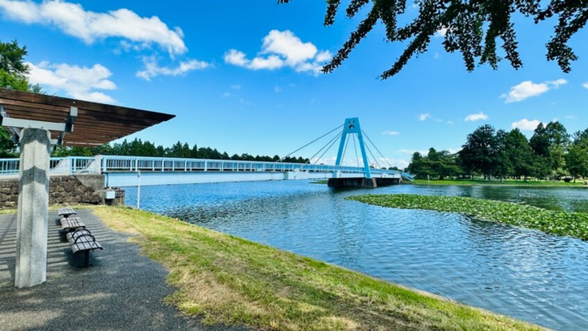 水元公園(公園)まで800m ルミエ－ル