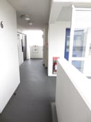 廊下 アーデン門前仲町