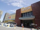 アピタ(スーパー)まで2000m ﾎｰﾒｽﾄﾌﾟﾗｻﾞ十日市場西館(537)