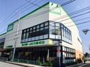 コープ　中野鷺宮店(スーパー)まで340m カーサ・ココリータ