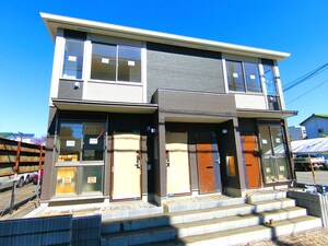 仮）カルムコマクサ