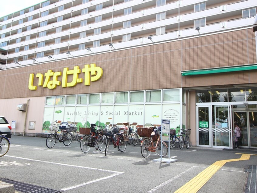 いなげや 江戸川船堀店(スーパー)まで600m Ｔ＆Ｍ船堀