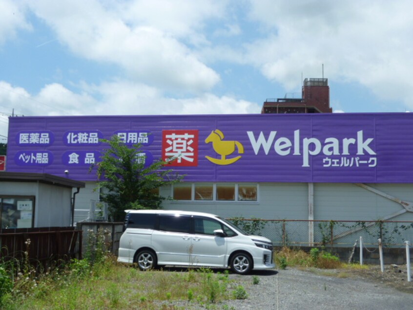 ウエルパーク飯能稲荷町店350(ドラッグストア)まで350m グリ－ンヒル