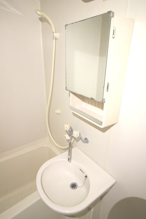 洗面 ＳＮＯＷ ＶＡＬＬＥＹ９３