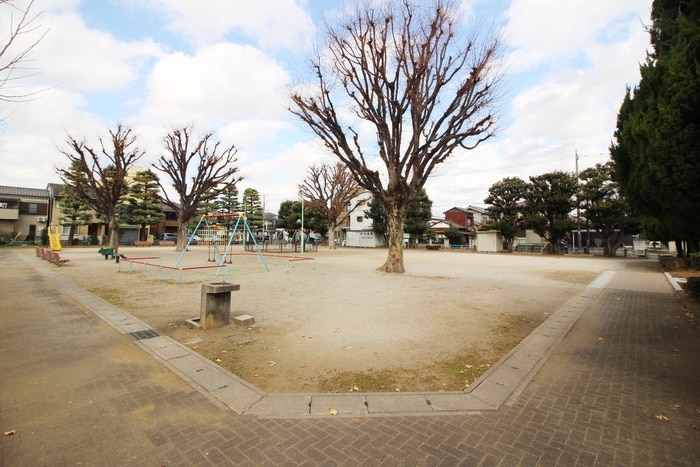 公園(公園)まで10m ベルデュール