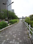 新川公園(隅田川テラス)(公園)まで400m ドゥーエ新川