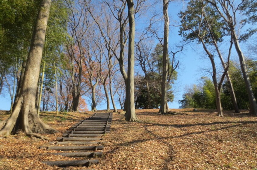 中川八幡山公園(公園)まで255m イン・フィ－ルド