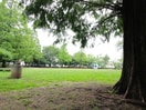大谷田公園(公園)まで5015m セレッソ参番館