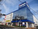 ノジマ(電気量販店/ホームセンター)まで766m サンケイハイツ山王