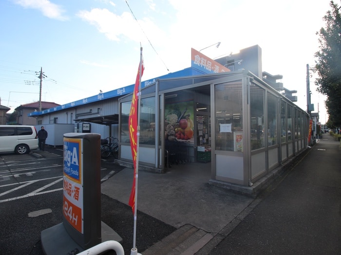 BigA(スーパー)まで344m エントピアアオバ