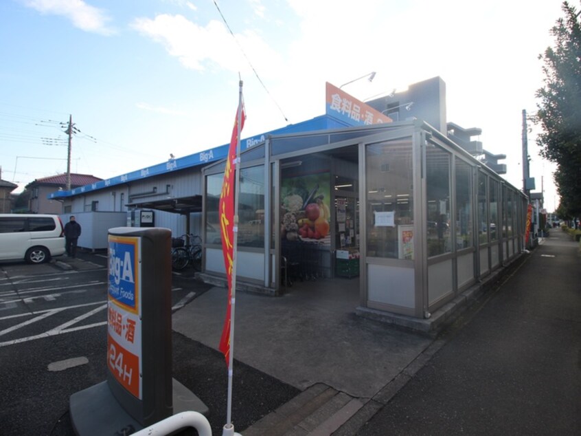BigA(スーパー)まで344m エントピアアオバ