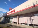 しまむら(ショッピングセンター/アウトレットモール)まで1200m エントピアアオバ