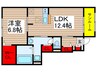 フェニックスC 1LDKの間取り