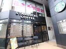 スターバックス　代々木(カフェ)まで460m メゾン・ソ－ラ