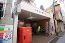 中野新井郵便局(郵便局)まで557m コ－ポ静