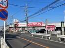 JOYFIT24新所沢(ディスカウントショップ)まで777m ルワイエ向陽