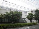 世田谷区立駒沢中学校(中学校/中等教育学校)まで91m ホ－ムズ駒沢