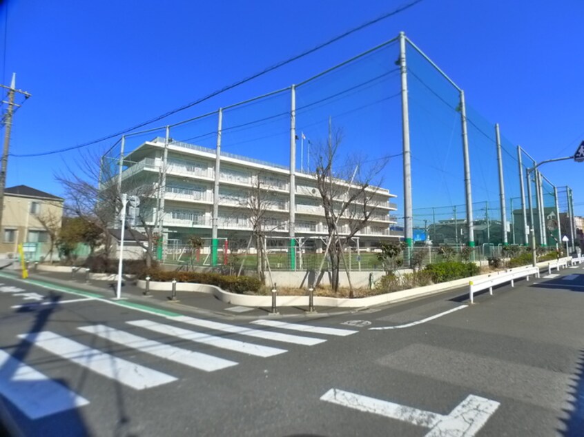 周辺環境 ステラ