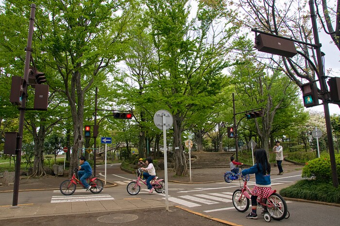 大泉交通公園(公園)まで587m コ－ポサニ－