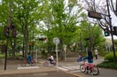 大泉交通公園(公園)まで587m コ－ポサニ－