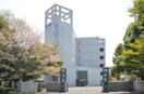 女子美術大学 相模原キャンパス(大学/短大/専門学校)まで1272m ルミエ－ル北里