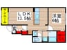エムテンダー 1LDKの間取り