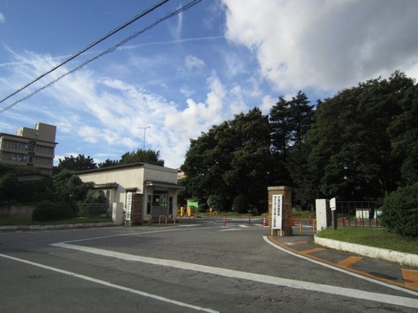 千葉大学亥鼻キャンパス(大学/短大/専門学校)まで1000m カサフローラ道場