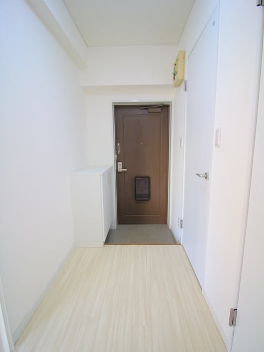 玄関 メゾンワイズ