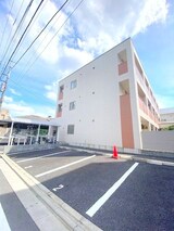 エヴァーグリーン常盤