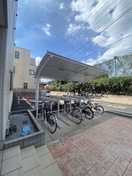 駐輪場 エヴァーグリーン常盤