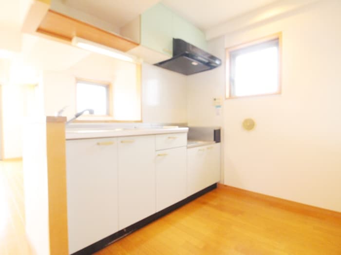 キッチン Ｖｅｎｔ　Ｐａｓｓｅ