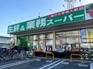 業務スーパー武蔵新城店(スーパー)まで145m Kolet武蔵新城08
