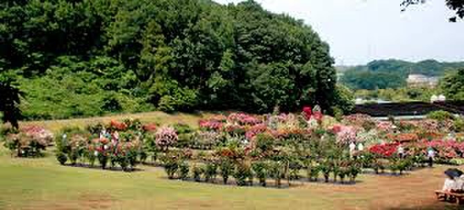 野津田公園(公園)まで454m 町田市野津田町戸建