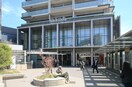 グランエミオ大泉学園(ショッピングセンター/アウトレットモール)まで791m 本橋テラスハウス