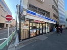 ローソン(コンビニ)まで230m ＨＪ　ＰＬＡＣＥ　神楽坂Ⅱ