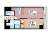 プレジオ西新井 1LDKの間取り