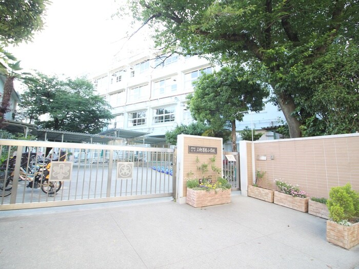 世田谷区立三軒茶屋小学校(小学校)まで388m ウイング三軒茶屋