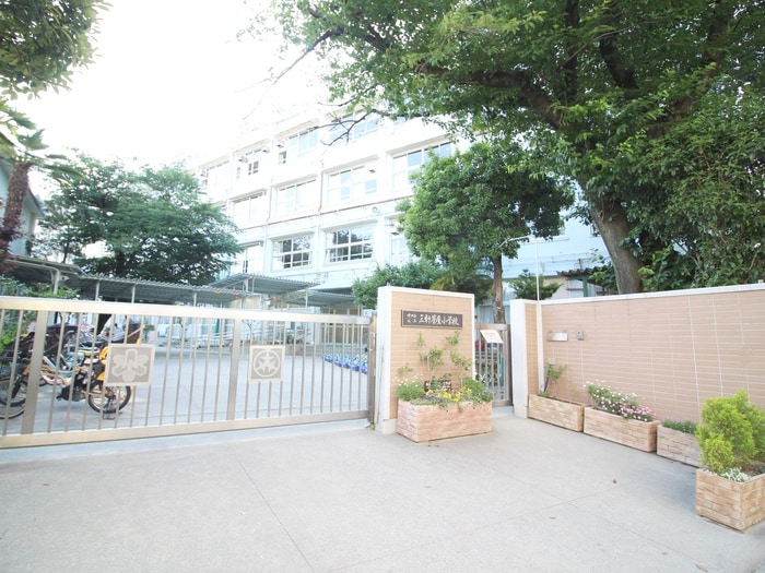 世田谷区立三軒茶屋小学校(小学校)まで388m ウイング三軒茶屋