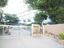 世田谷区立三軒茶屋小学校(小学校)まで388m ウイング三軒茶屋
