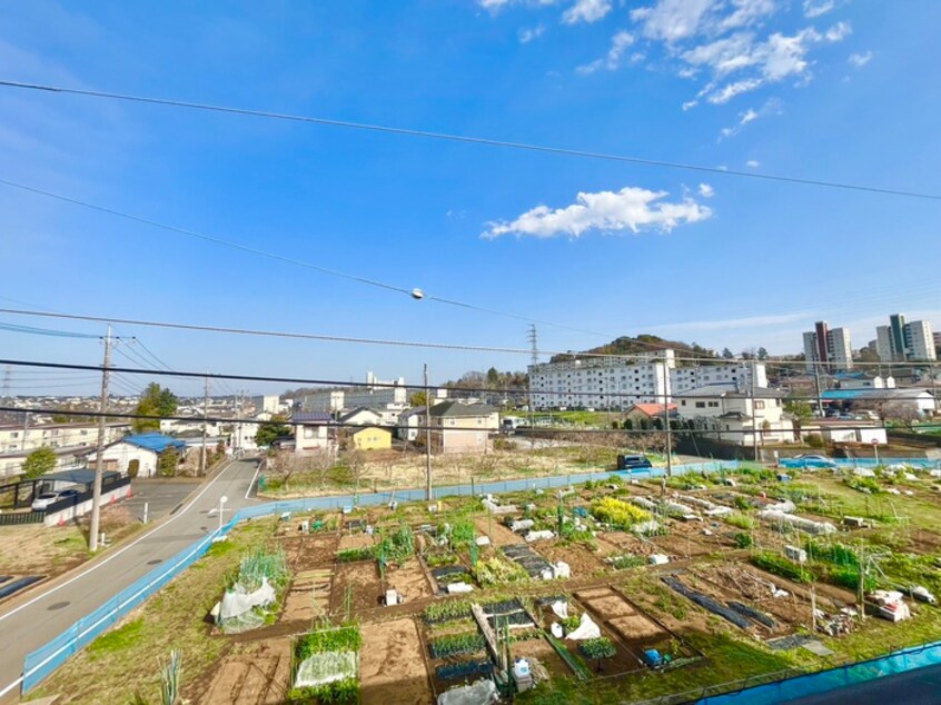 室内からの展望 アリビオＫ　Ⅰ