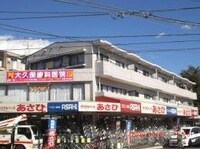 グレイスヤギワ